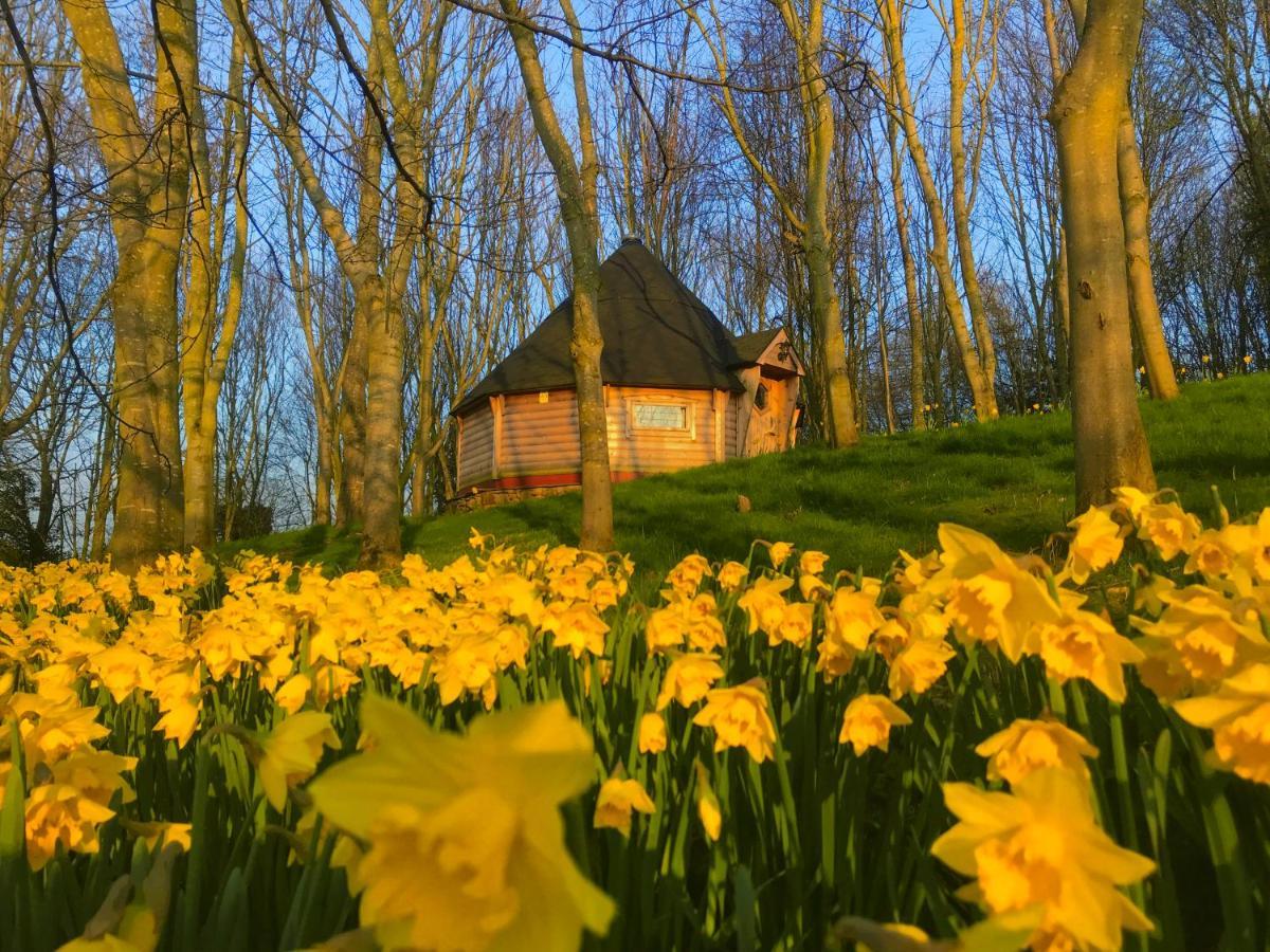 High Parks Villa Bedale Dış mekan fotoğraf